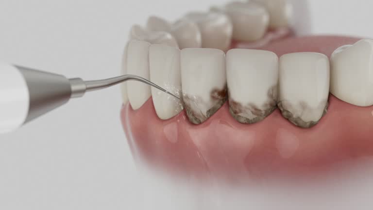 Reliable Dental contractor in Harker Heights, TX by Dentist Open Now
